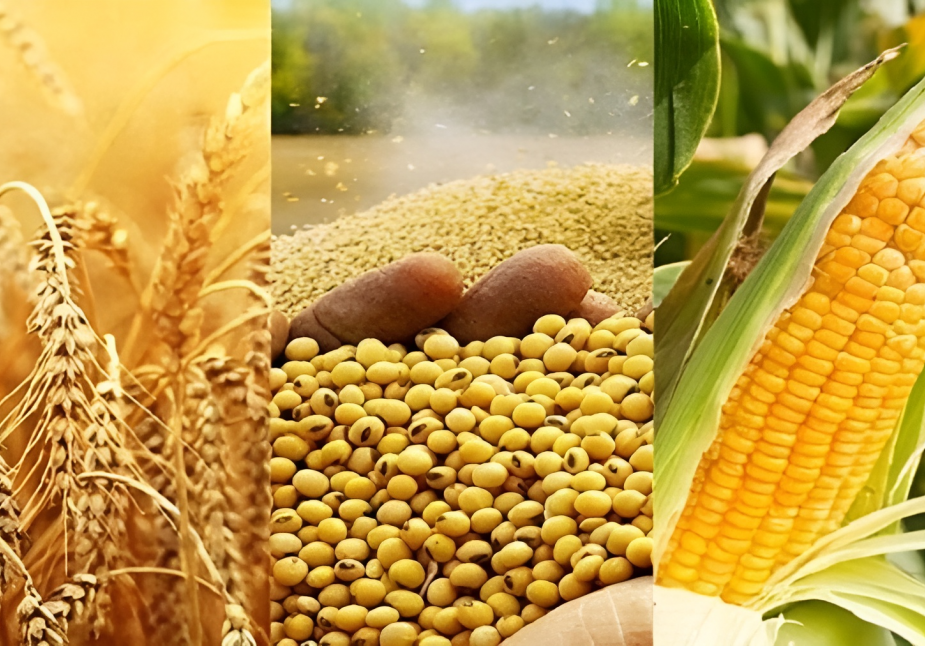 80% chất phụ gia, thức ăn chăn nuôi bổ sung của Việt Nam còn phụ thuộc vào nguồn nhập khẩu